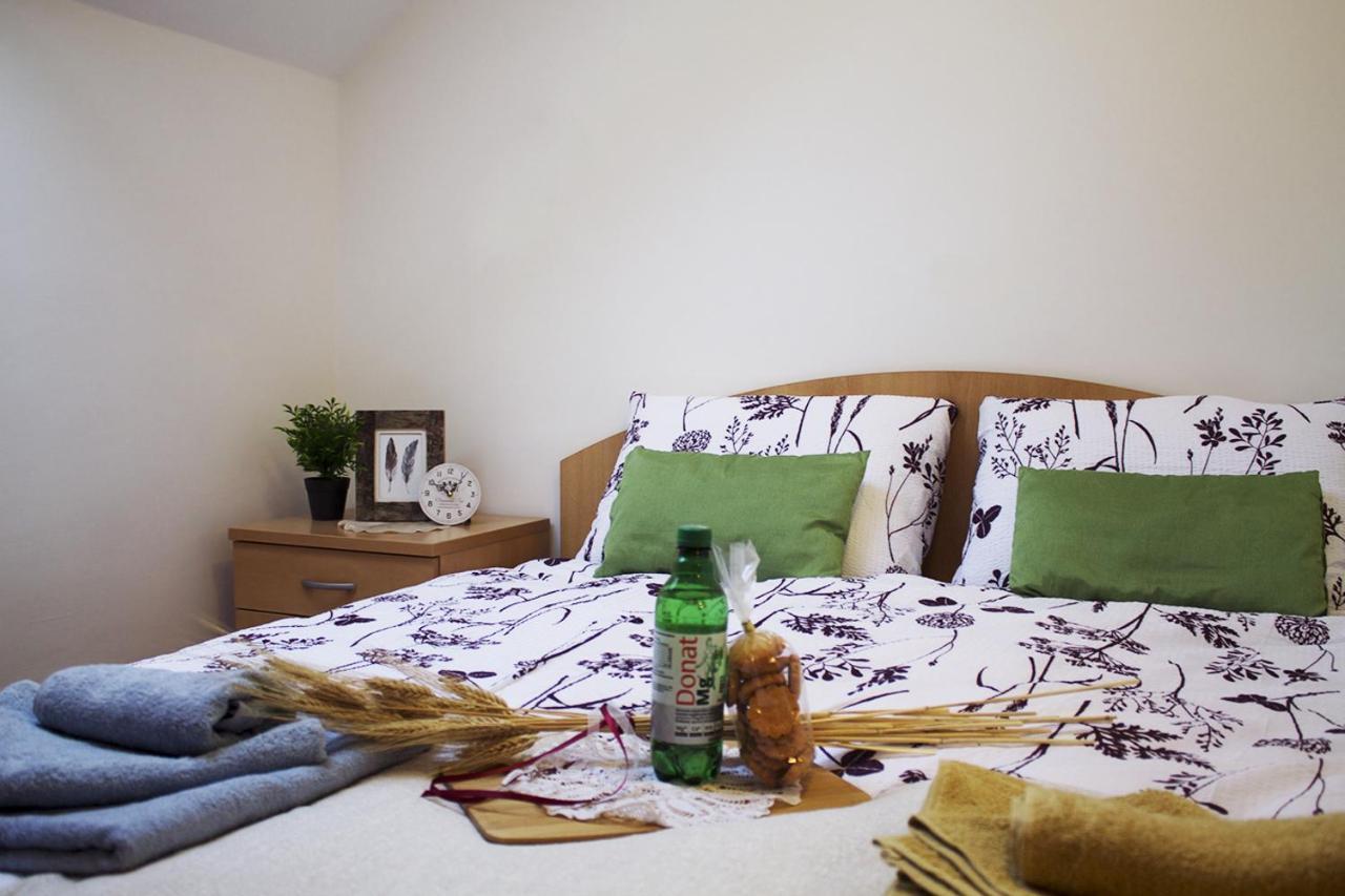 רוגאסקה סלאטינה Apartma Pegaz מראה חיצוני תמונה